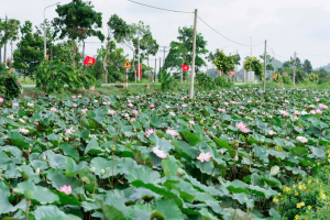 KÊU GỌI HƯỞNG ỨNG CUỘC THI “MÔ HÌNH XANH - SẠCH - ĐẸP”