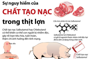 NÓI KHÔNG VỚI CHẤT CẤM TRONG CHĂN NUÔI   VÌ SỨC KHỎE CỘNG ĐỒNG VÀ SỰ PHÁT TRIỂN BỀN VỮNG