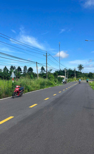 Báo cáo tác động môi trường dự án Đường Thừa Đức đi Long Khánh