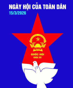HINH DAI DIEN BAU CU