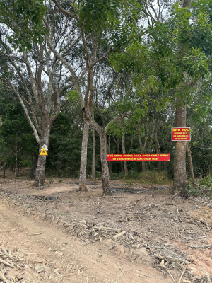 Chung tay phòng cháy, chữa cháy rừng mùa khô