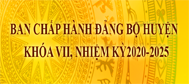 Ban Chấp hành Đảng bộ