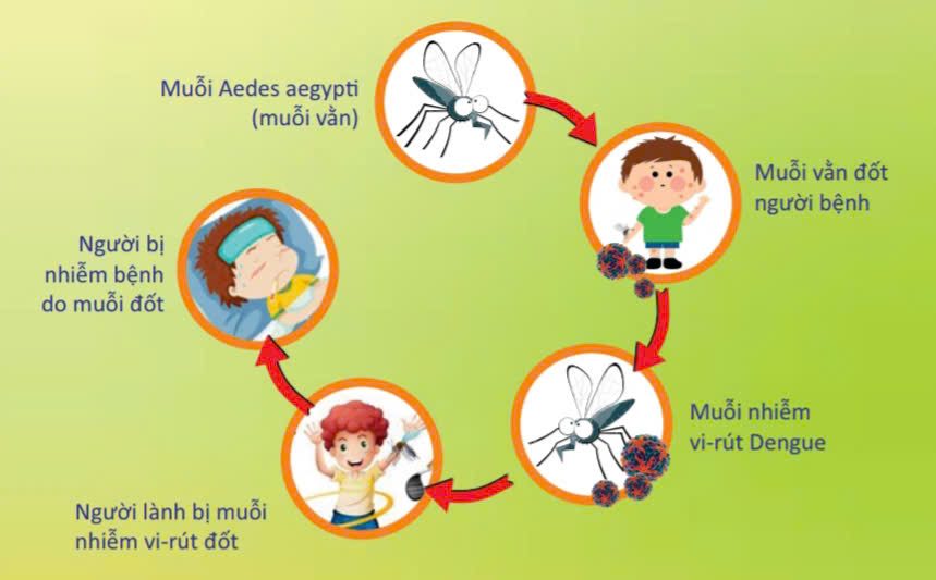 UBND xã An Phước ra quân tuyên truyền phòng, chống sốt xuất huyết