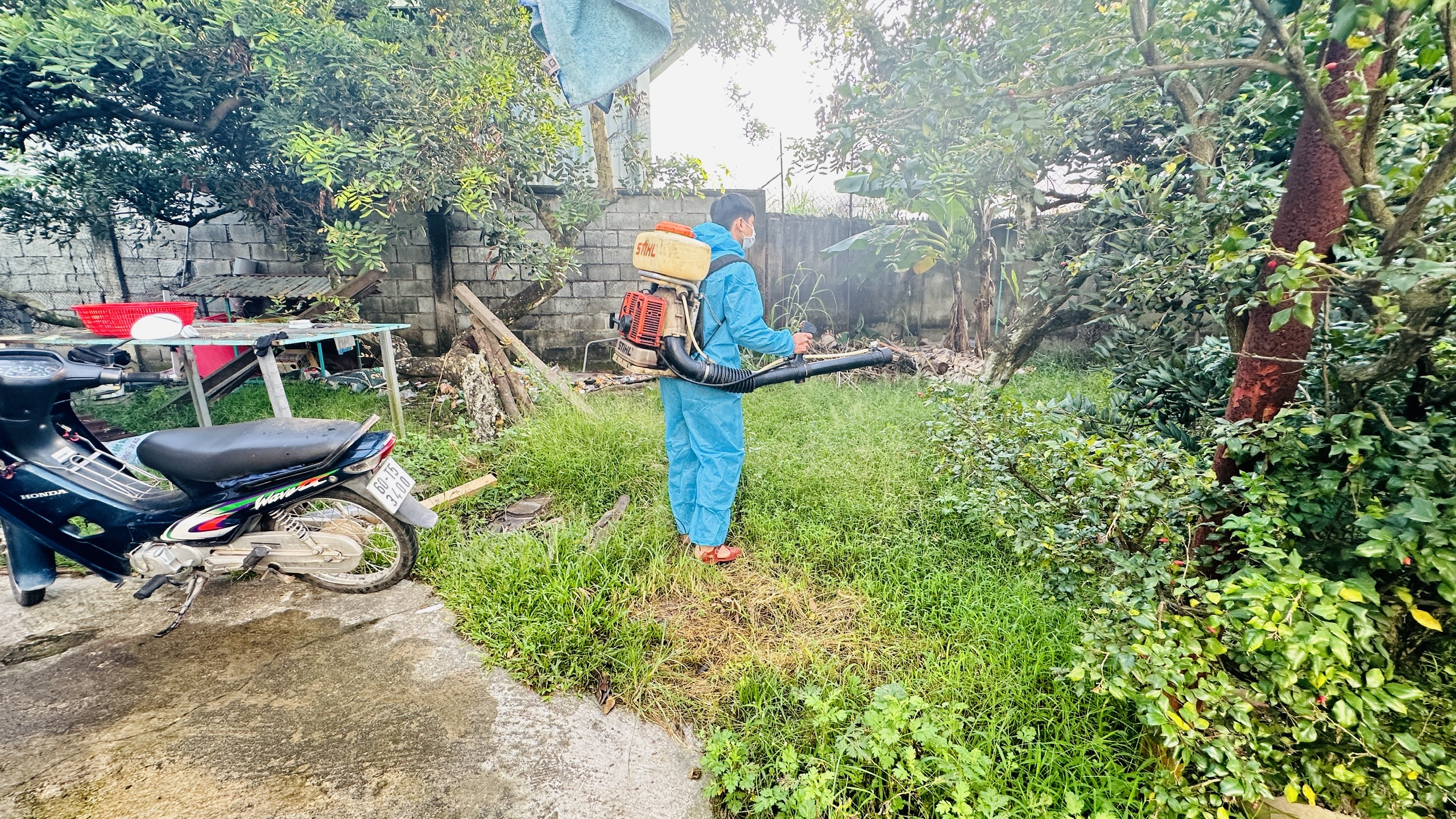 z7133737069416 cc058b13a865ce7f916f8c6ab5f1b3b8