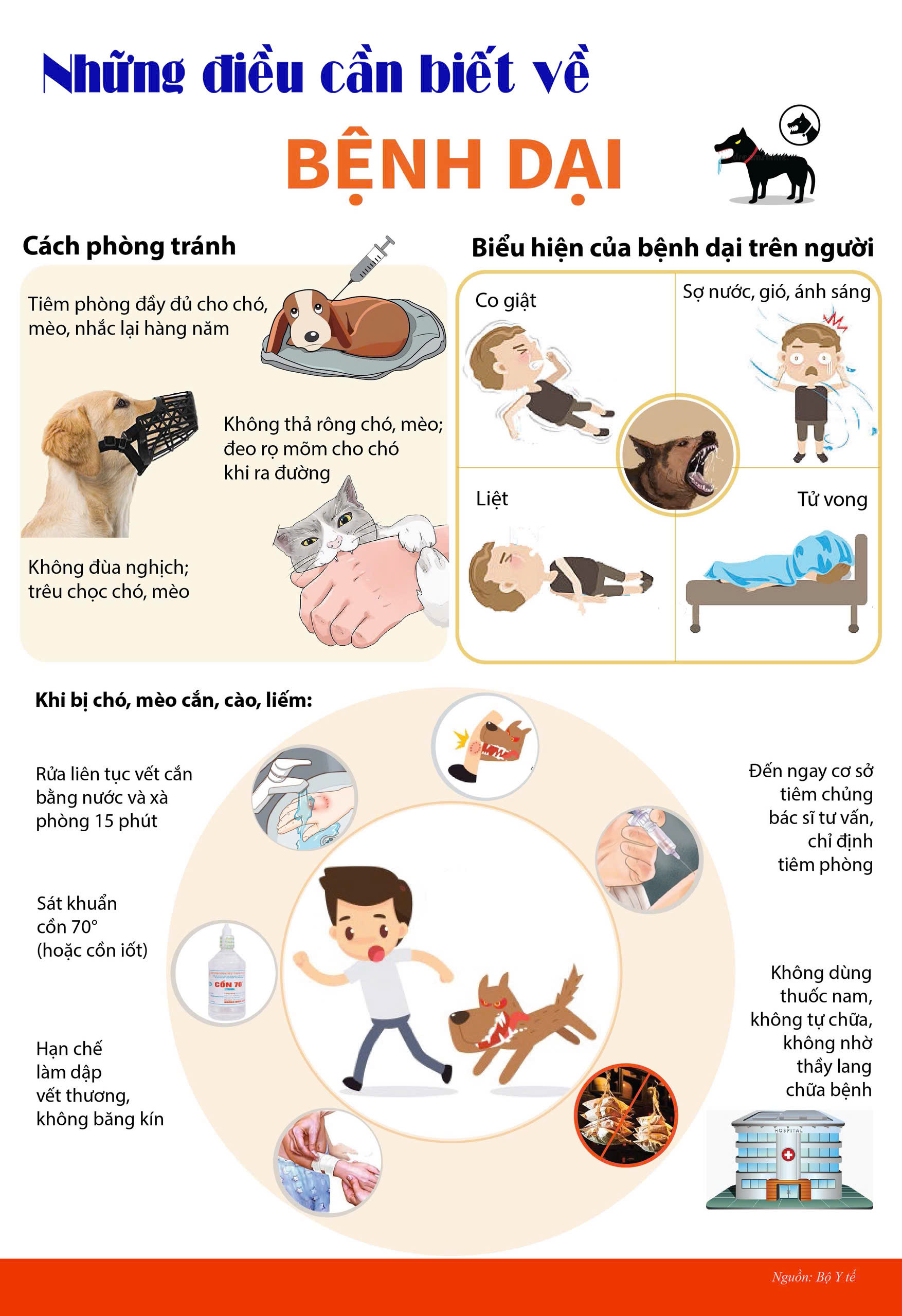 Xã An Phước tăng cường công tác tiêm phòng bệnh Dại cho đàn chó, mèo năm 2025