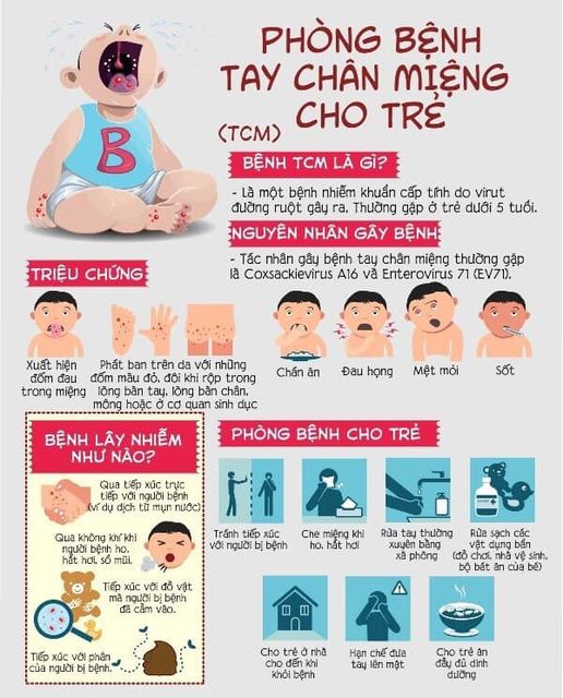 tay chân
