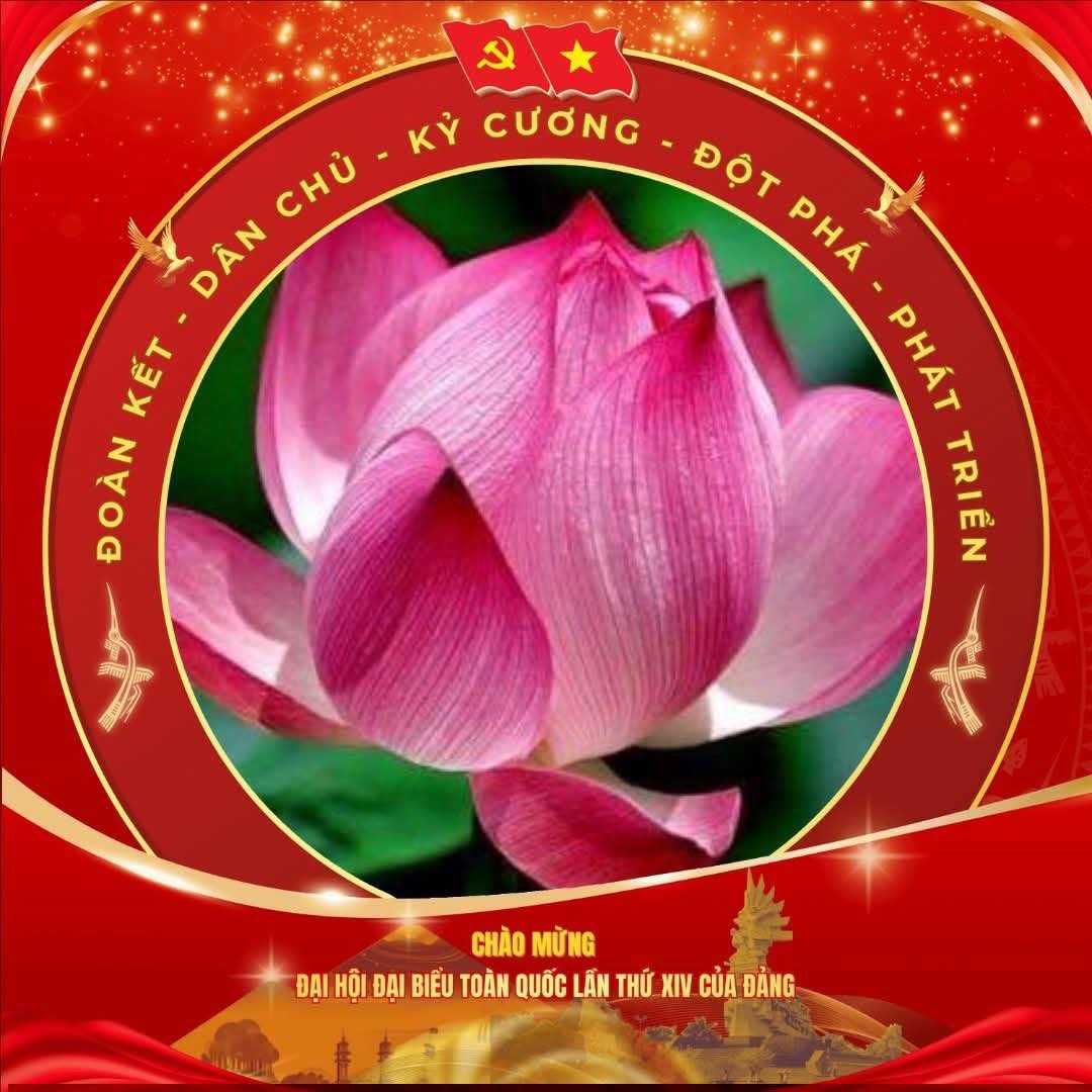 HƯỚNG DẪN THAY AVATAR CHÀO MỪNG ĐẠI HỘI XIV CỦA ĐẢNG