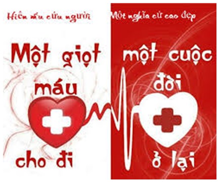 hiến máu 11223