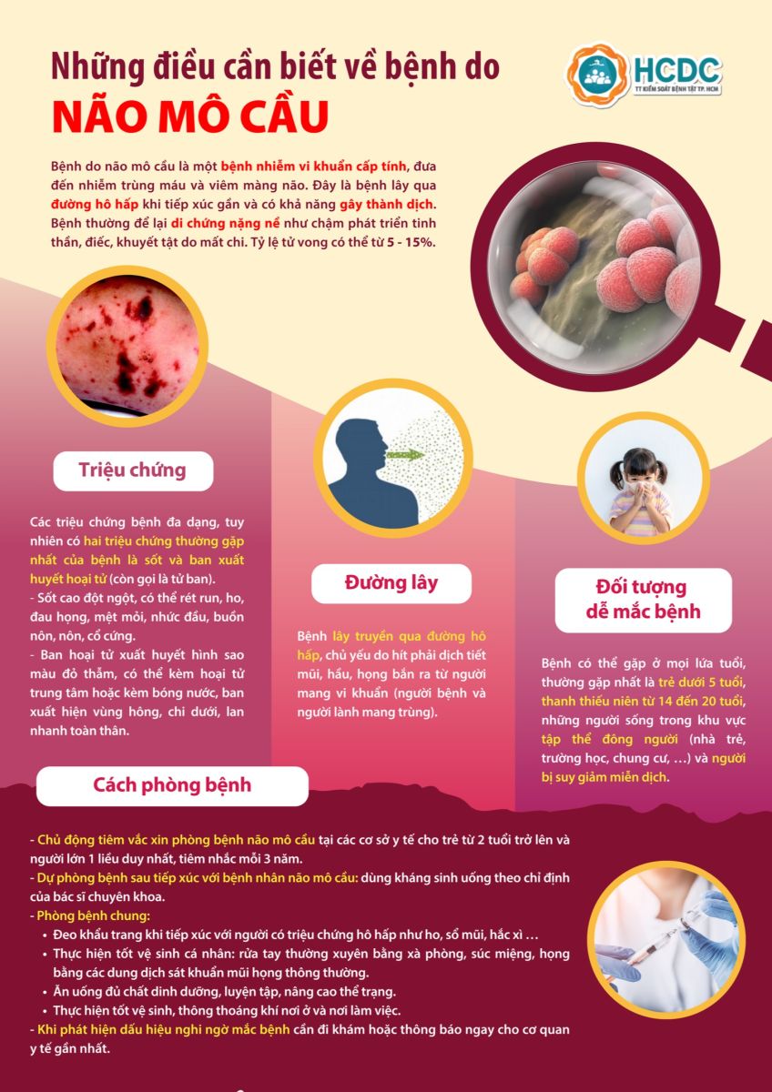 hình ảnh bệnh não mô cầu