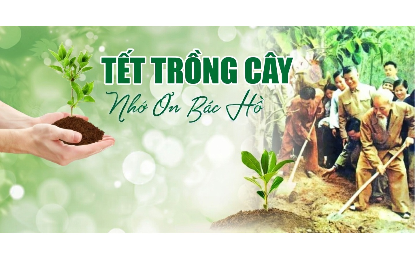 Xã An Phước phát động phong trào “Tết trồng cây đời đời nhớ ơn Bác Hồ” Xuân Bính Ngọ năm 2026 gắn với xây dựng Thành phố Đồng Nai xanh, hiện đại, phát triển bền vững.