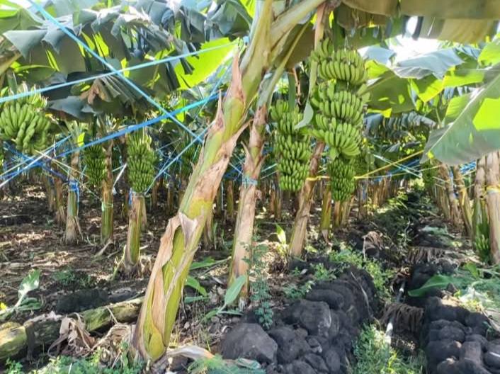 622386057 892606236493282 3301375923433398823 n