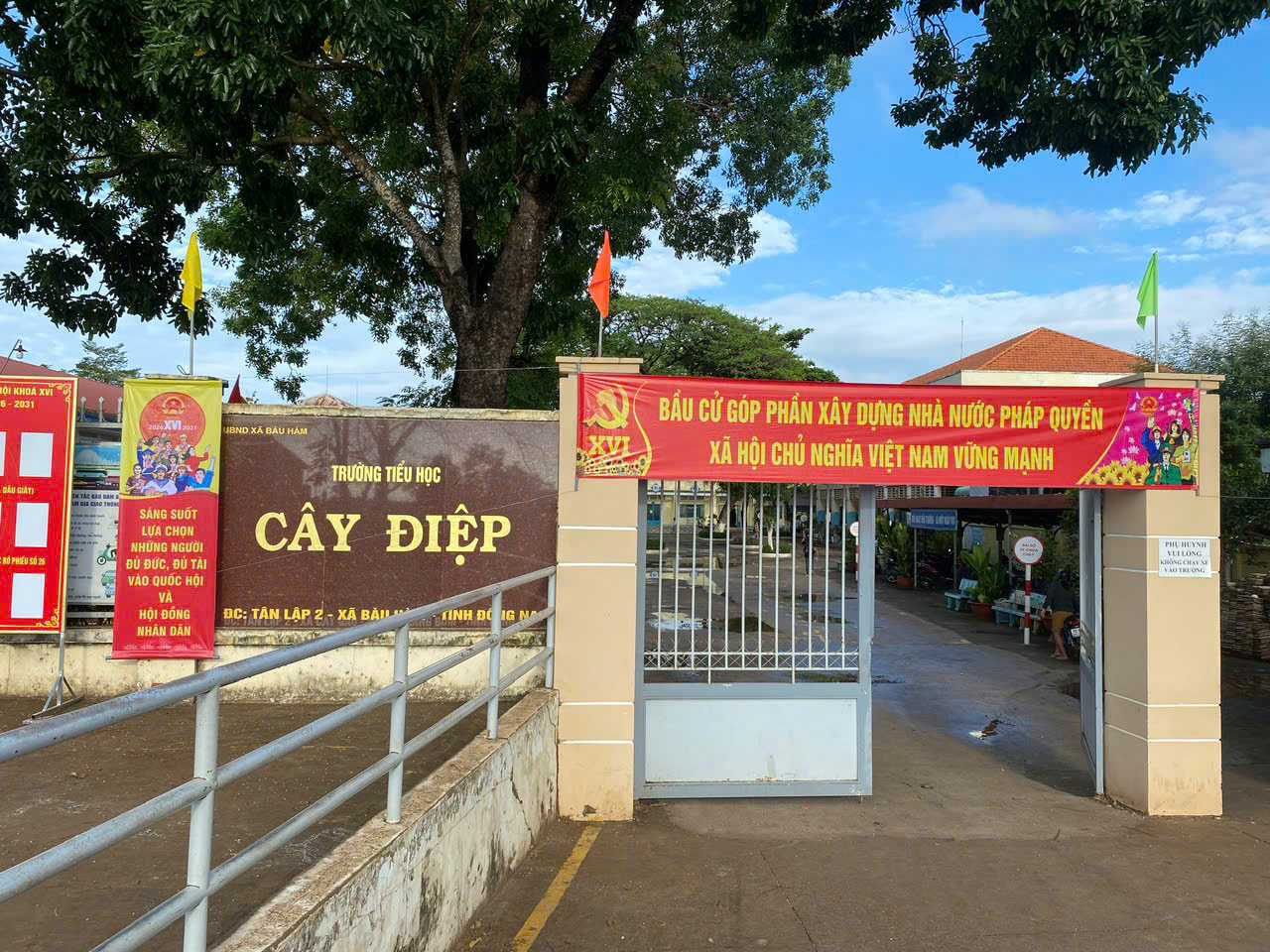 219574850032115282212