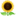 Description: 🌻