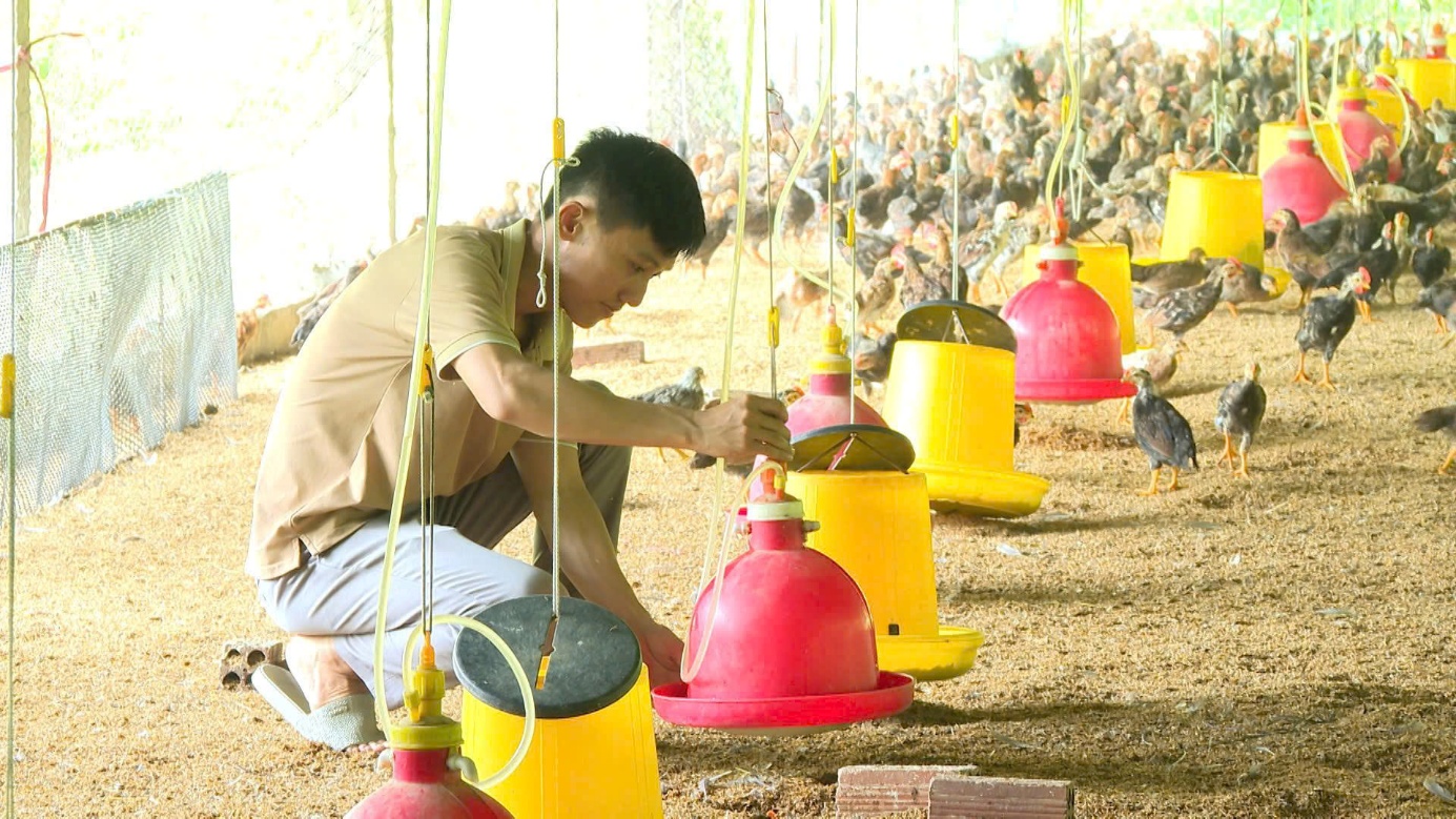 image 20251117213701 1