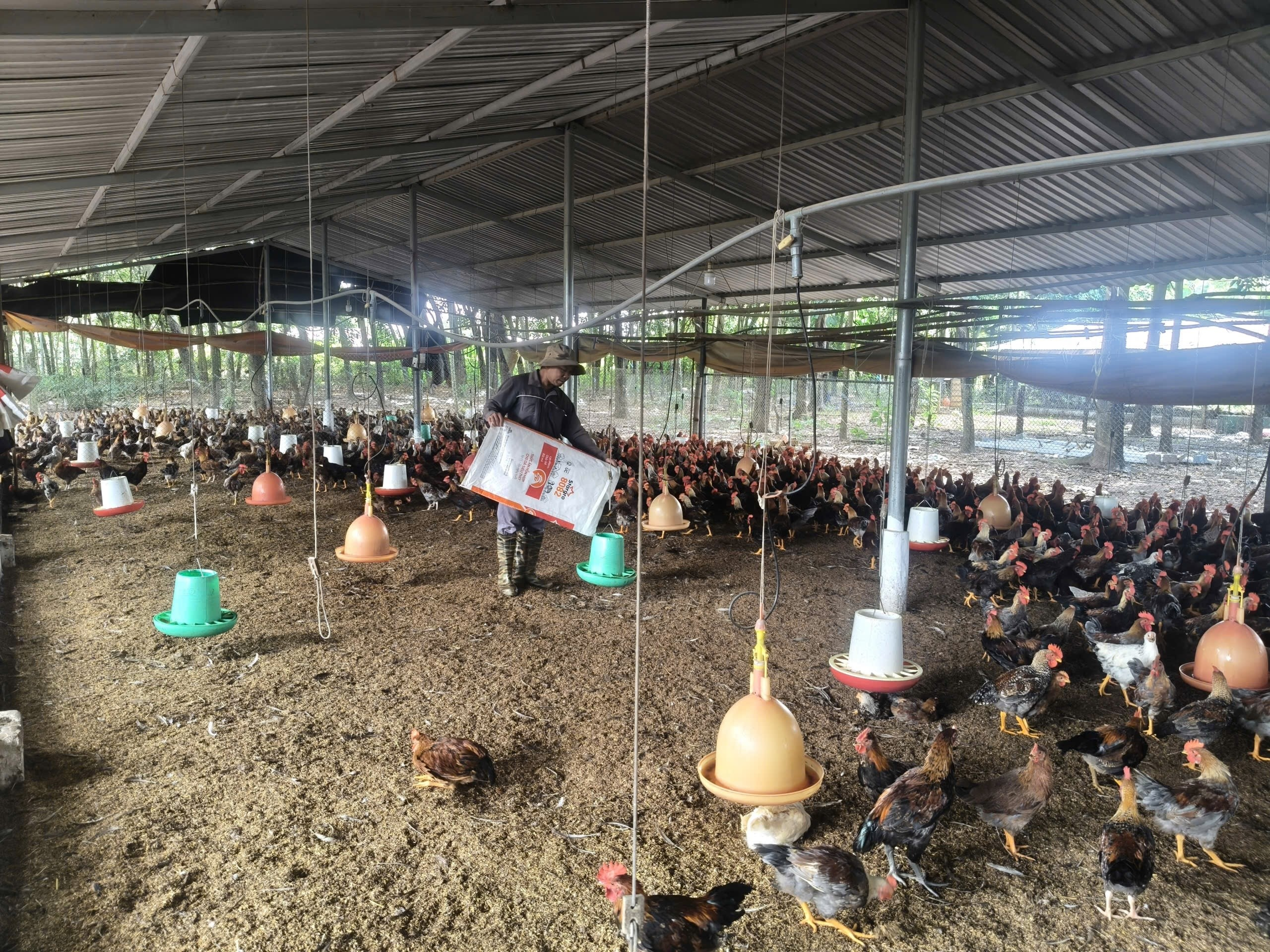 image 20251217144002 1