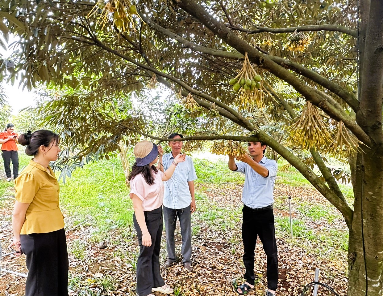 image 20260227075813 5