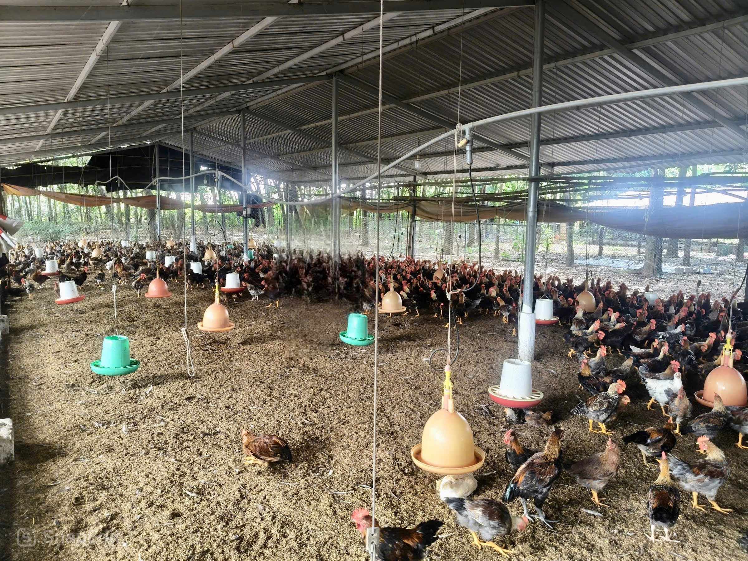 image 20260331140435 6