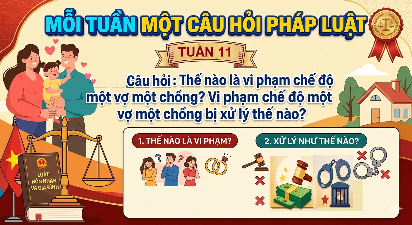 T11 H1
