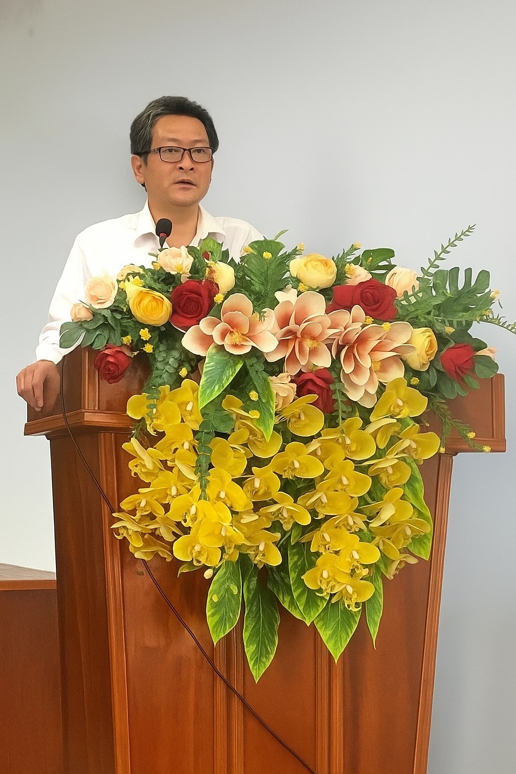 Hinh Xep Văn
