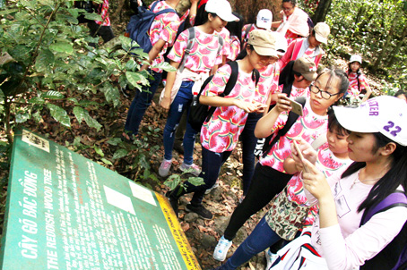 13B.jpg