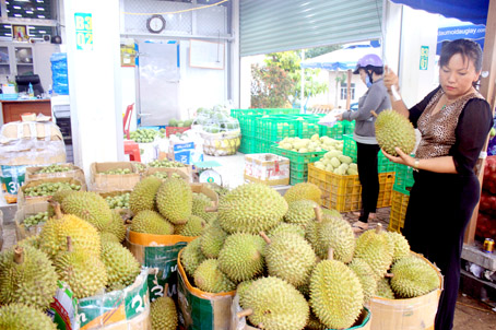 sau rieng LK.jpg