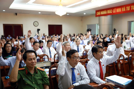 Các dại biểu biểu quyết tại kỳ họp thứ 6, HĐND tỉnh khóa IX (ảnh minh họa).jpg