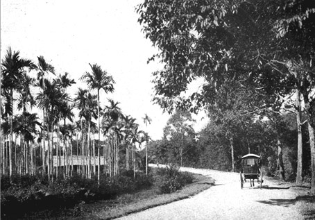 trang-99-copy.jpg