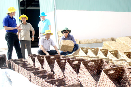 3. HTX Phú Lập.jpg