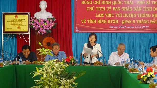 hinh2-18062019.JPG