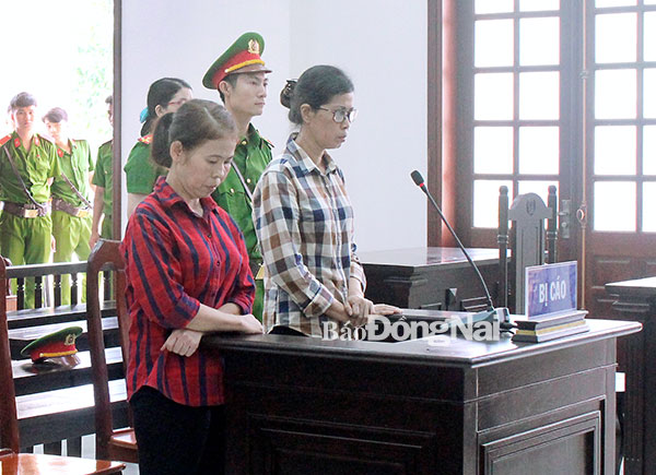 images2229506_Hinh_bai_chinh_trang_PL.jpg