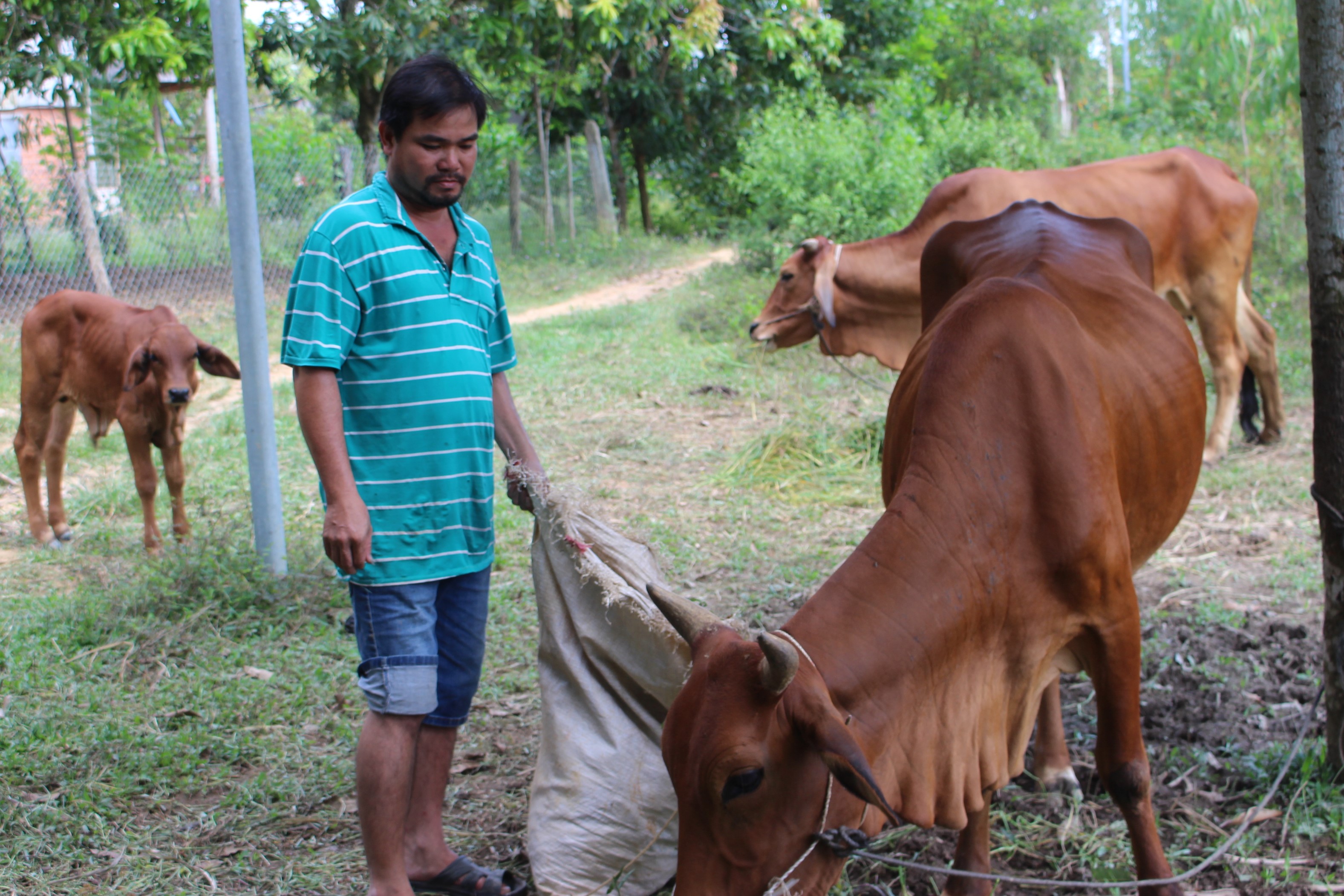 3. Giảm nghèo bền vững (H1).jpg