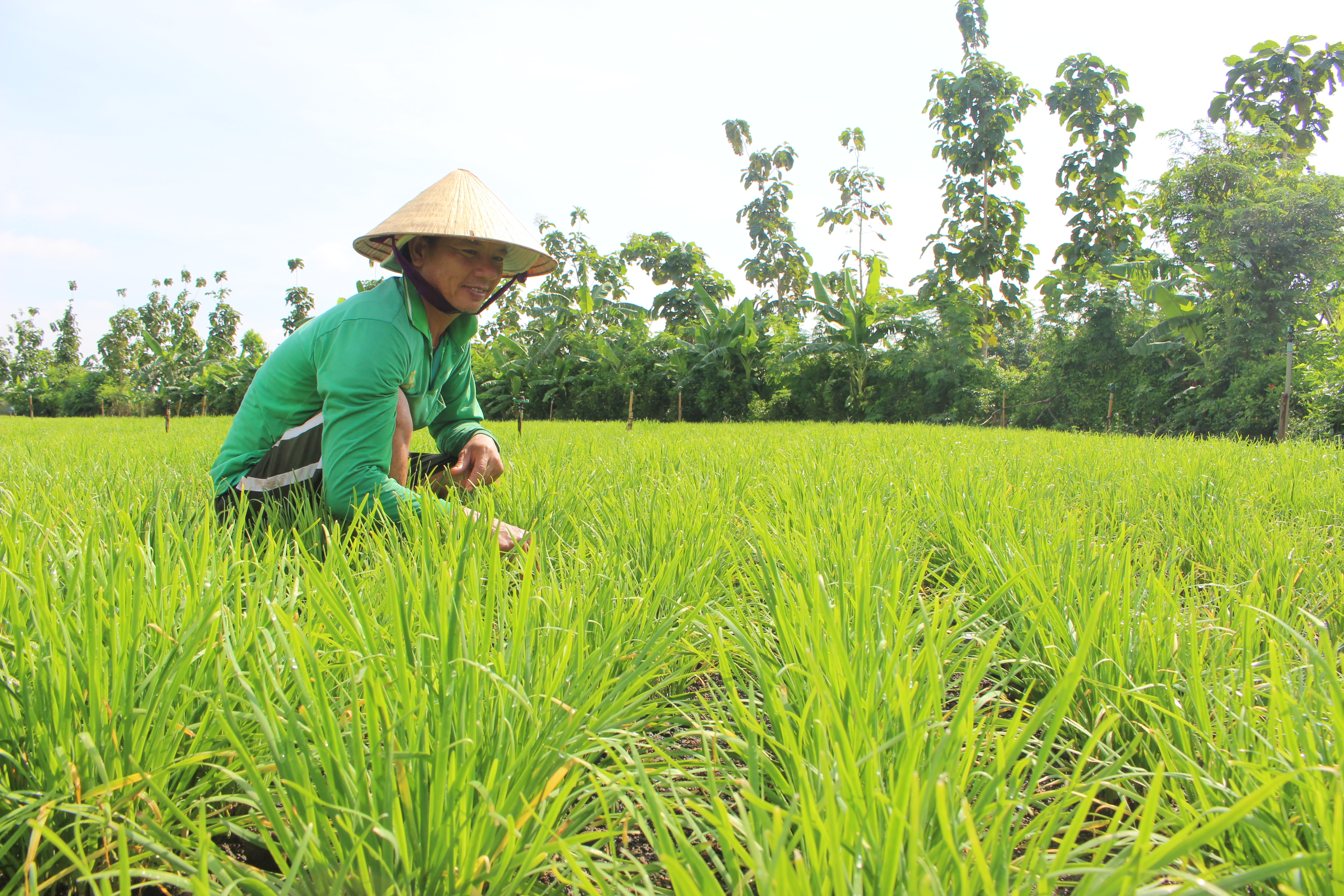 3. Giảm nghèo bền vững (H2).JPG