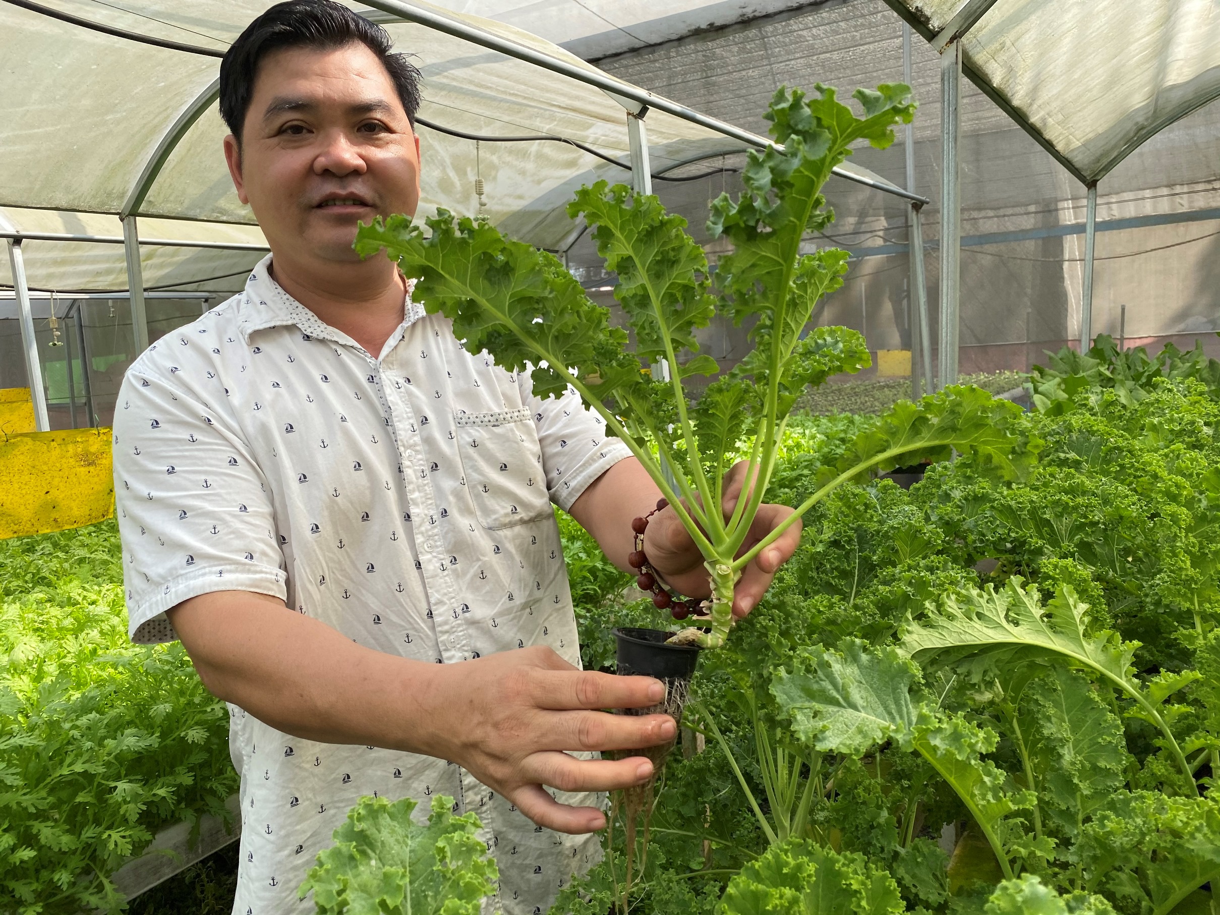 2. Phát triển nông nghiệp đô thị (H3).jpg