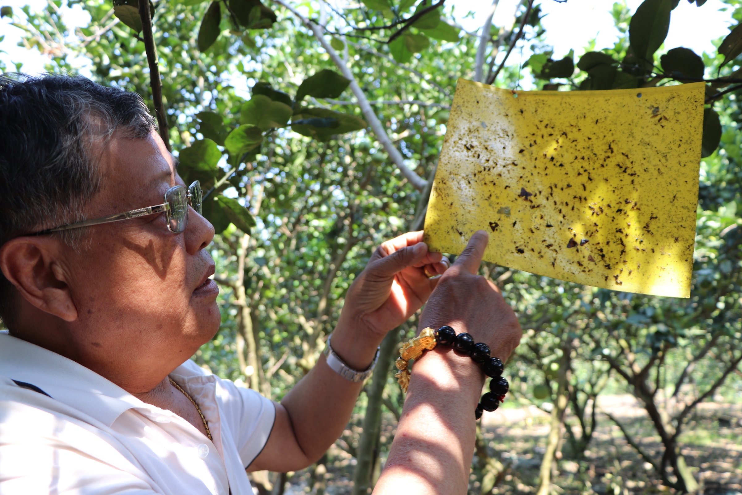 3. Xã nghèo hoàn thành nông thôn mới nâng cao (H1).JPG