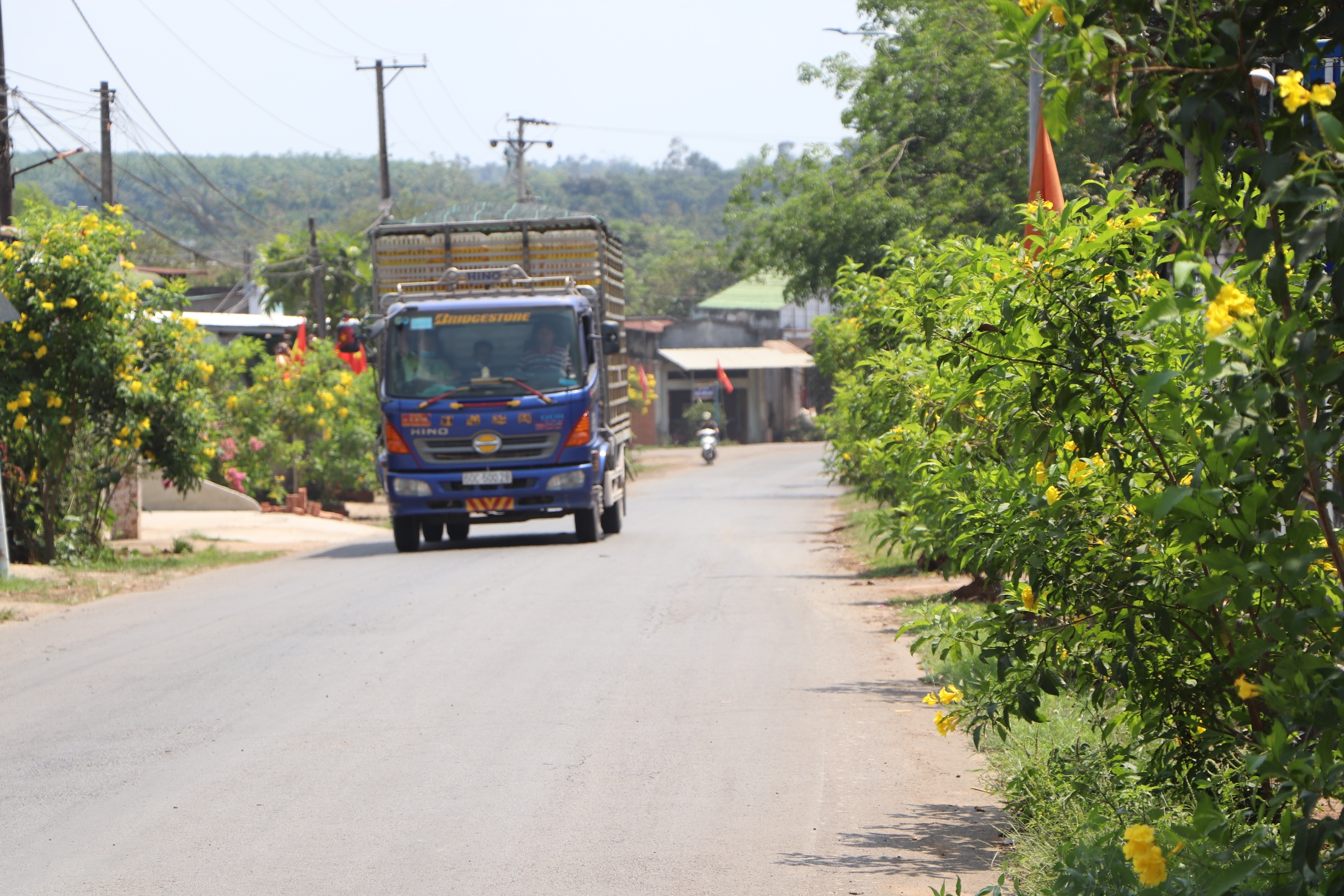 3. Xã nghèo hoàn thành nông thôn mới nâng cao (H3).JPG