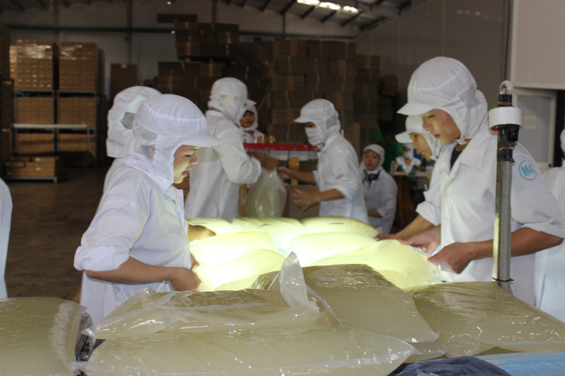 4. Thu hút đầu tư chế biến nông sản (H1).JPG