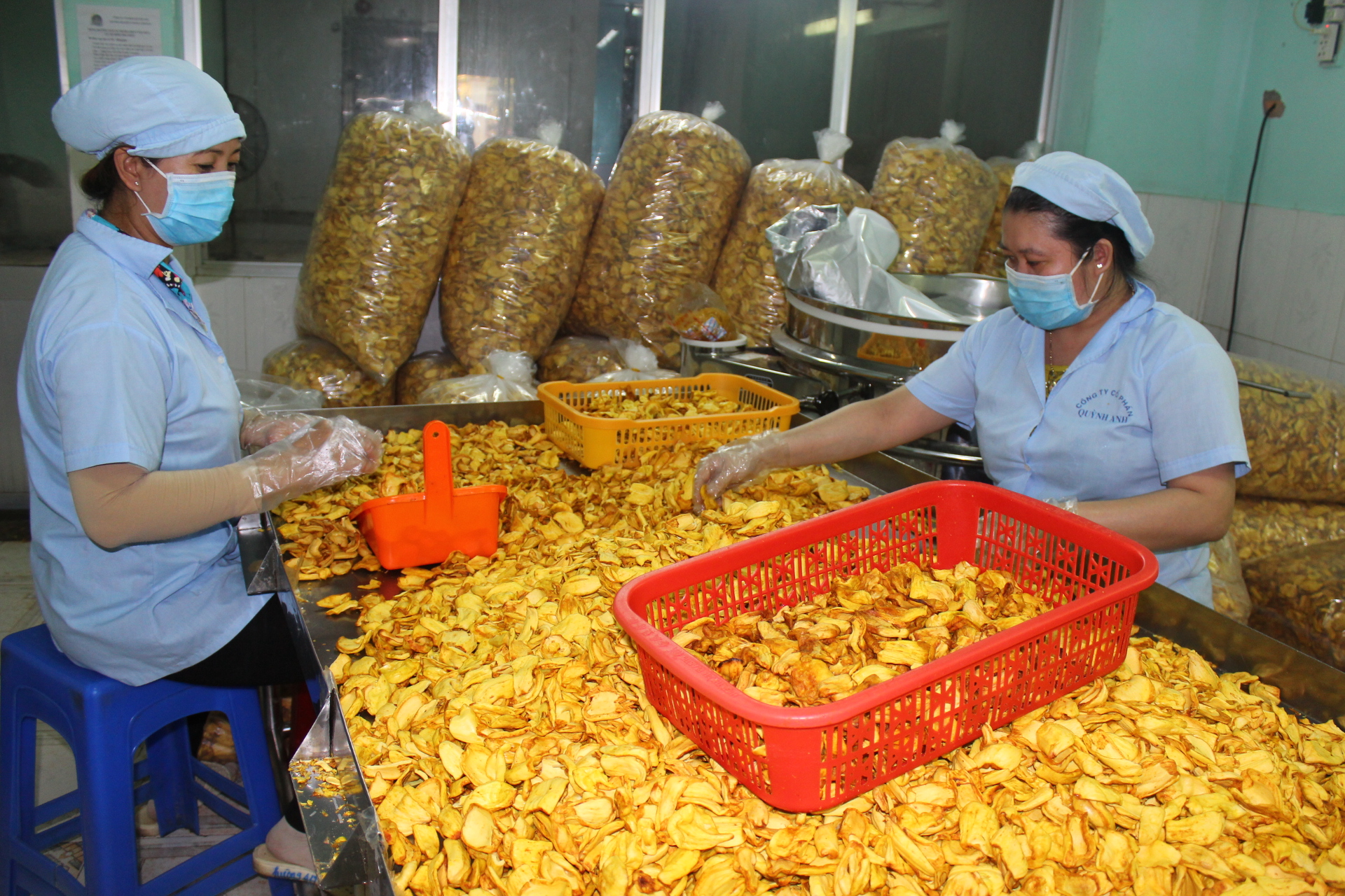4. Thu hút đầu tư chế biến nông sản (H2).JPG