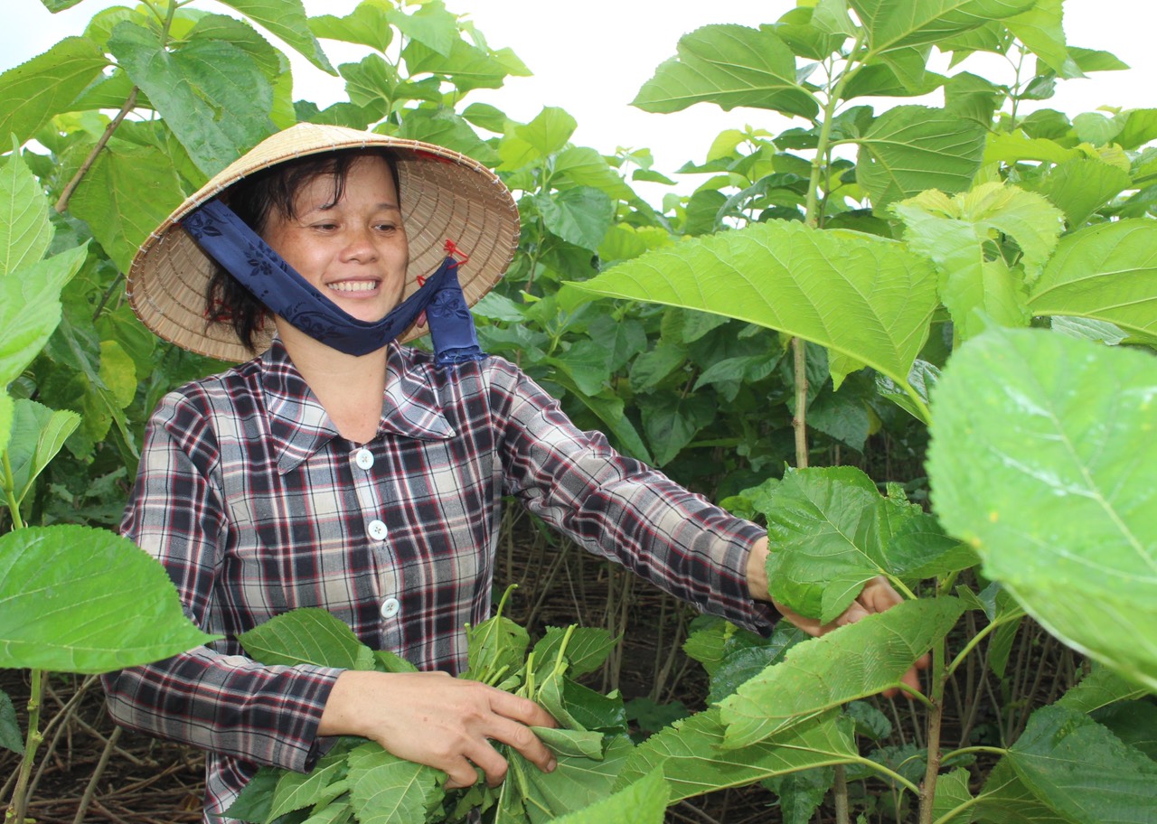 20.04- H3 Tái sinh.jpg