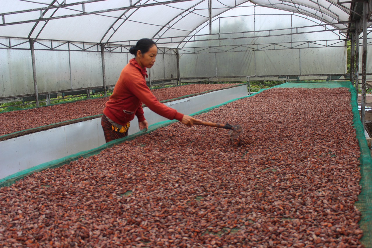 25.4-H2 bài OCCOP-NTM.jpg