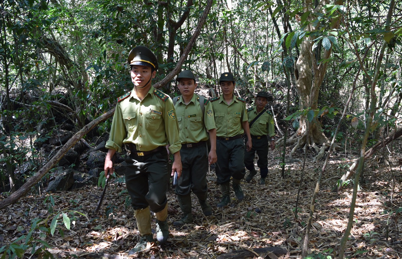 26.4-H2 Khởi động thêm cơ chế bảo tồn rừng.jpg