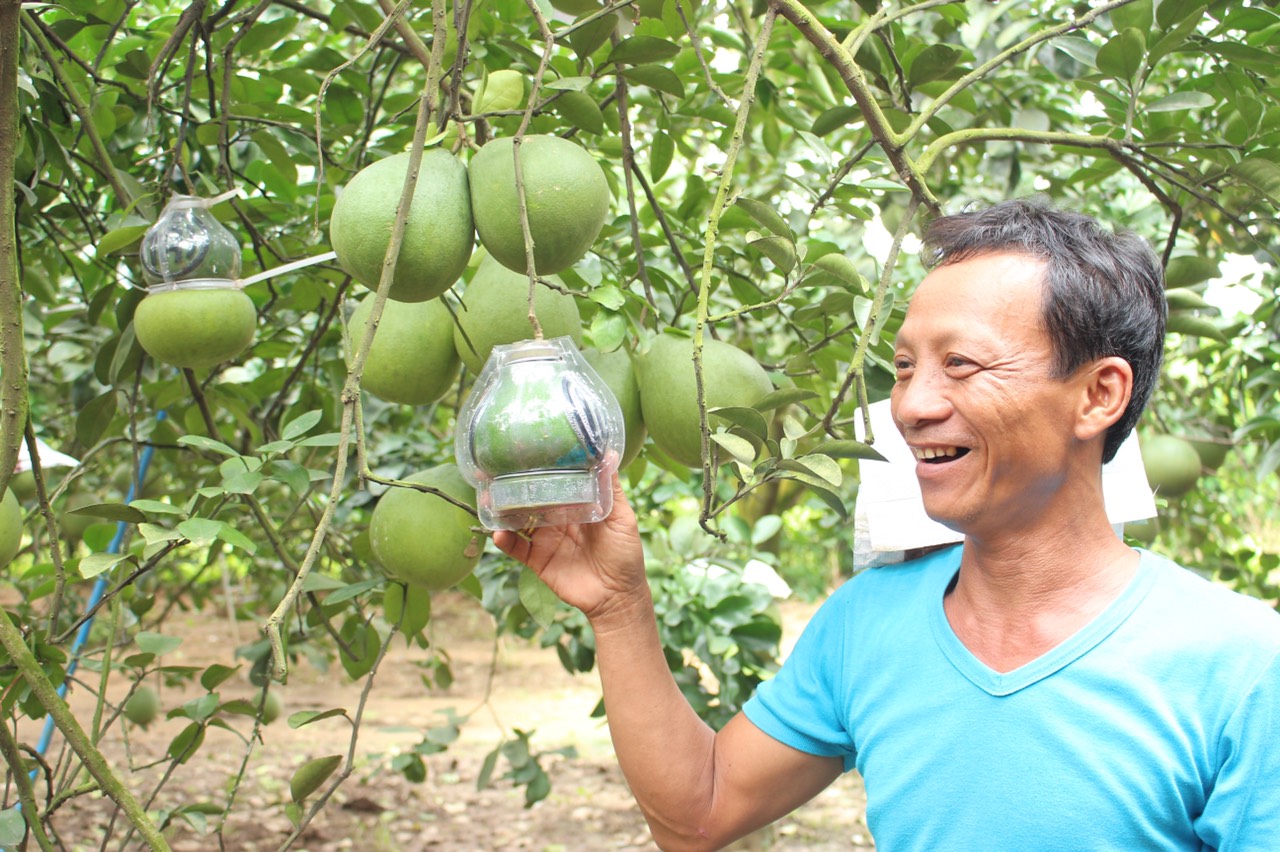 26.4-H2- Đưa đặc sản Đồng Nai vươn xa.jpg