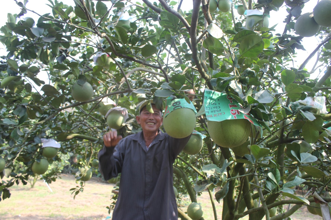 09.05- H2 Bình lợi.jpg