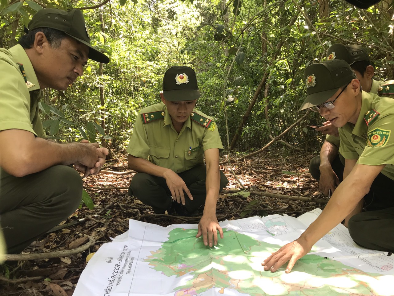 29.5-Gian nan bao ve rung.jpg