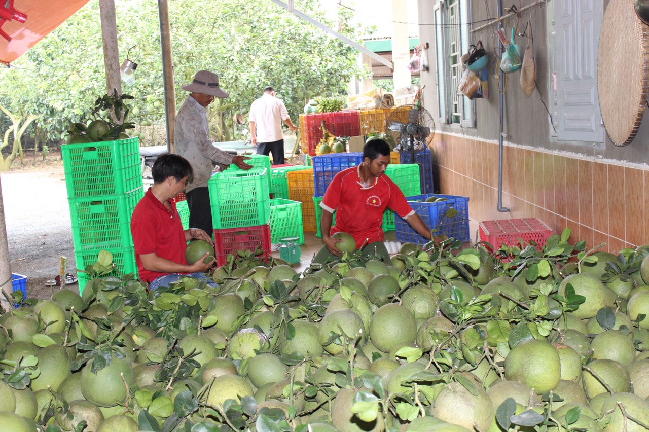 12.6 H1 Chủ động hoàn thành mục tiêu NTM nâng cao.jpg