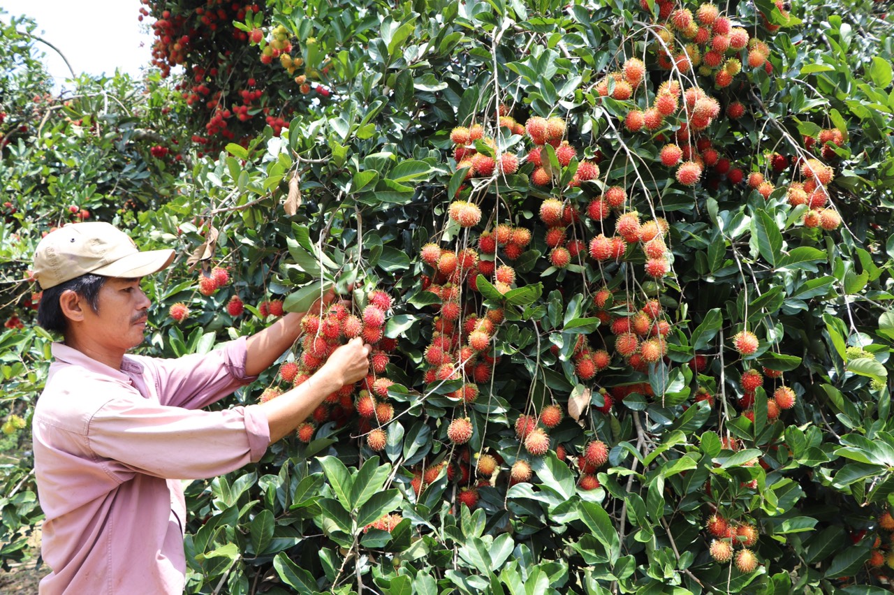 29.6- H1 Ứng dụng công nghệ.jpg