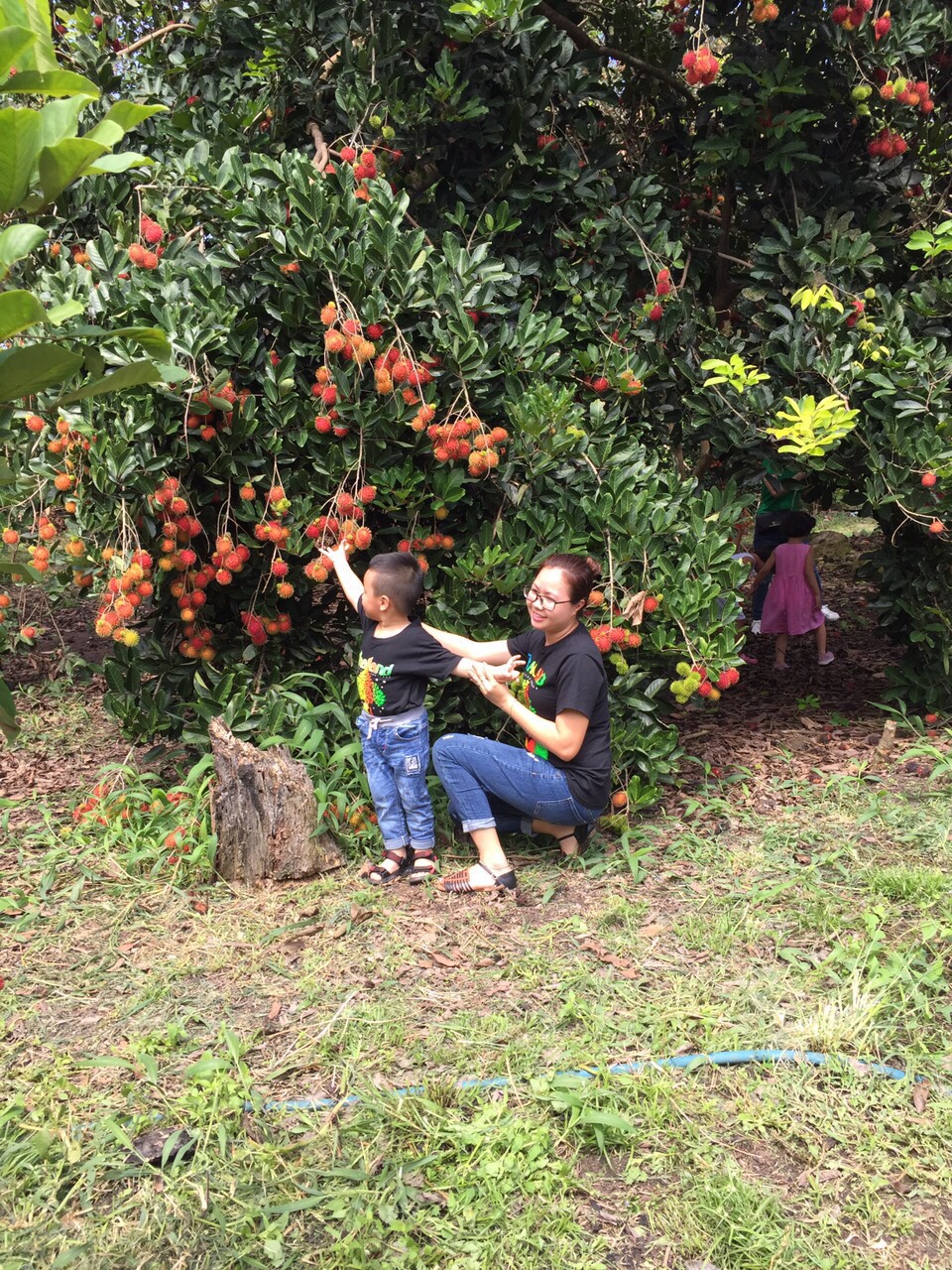 23.7-H2 Minh bạch nguồn gốc cho nông sản.jpg