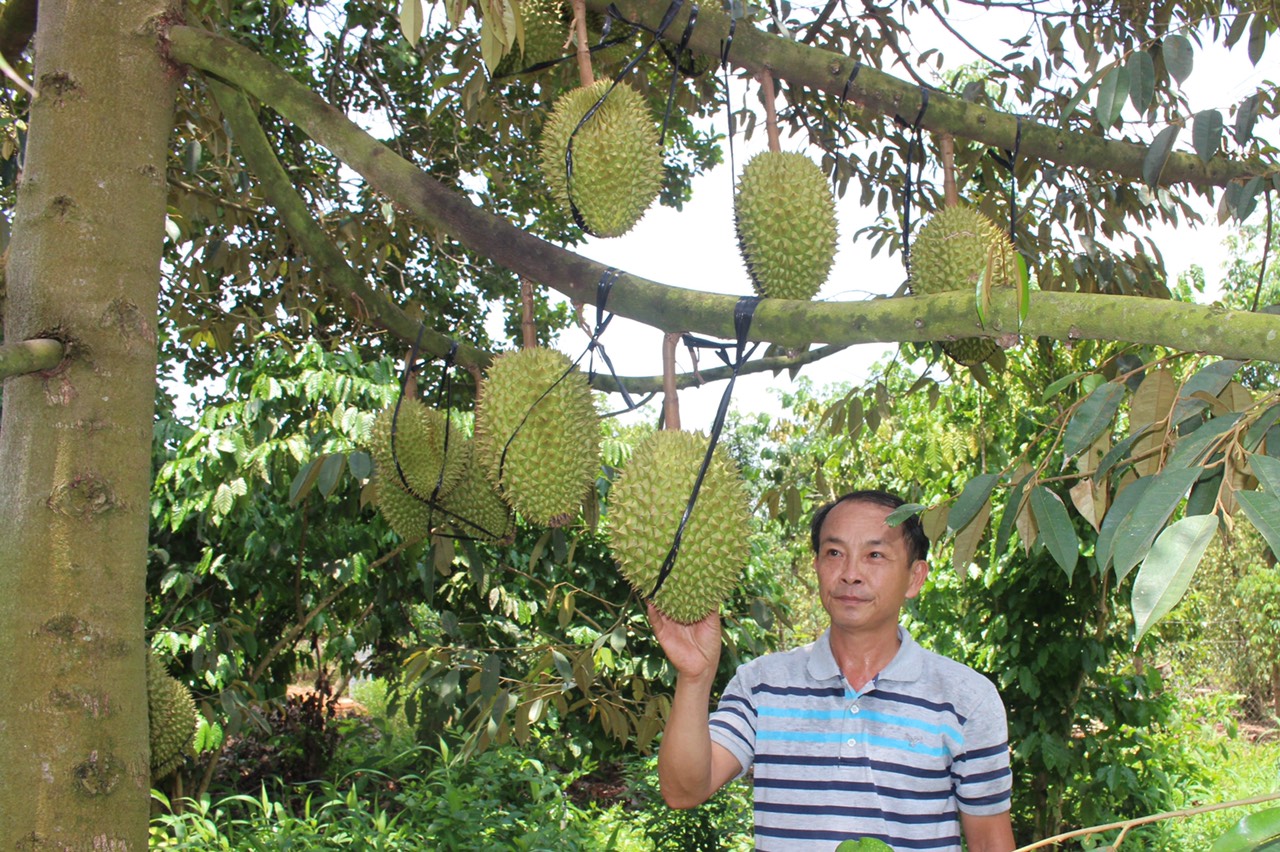 21.7-Phát triển các chuỗi liên kết trong sản xuất.jpg