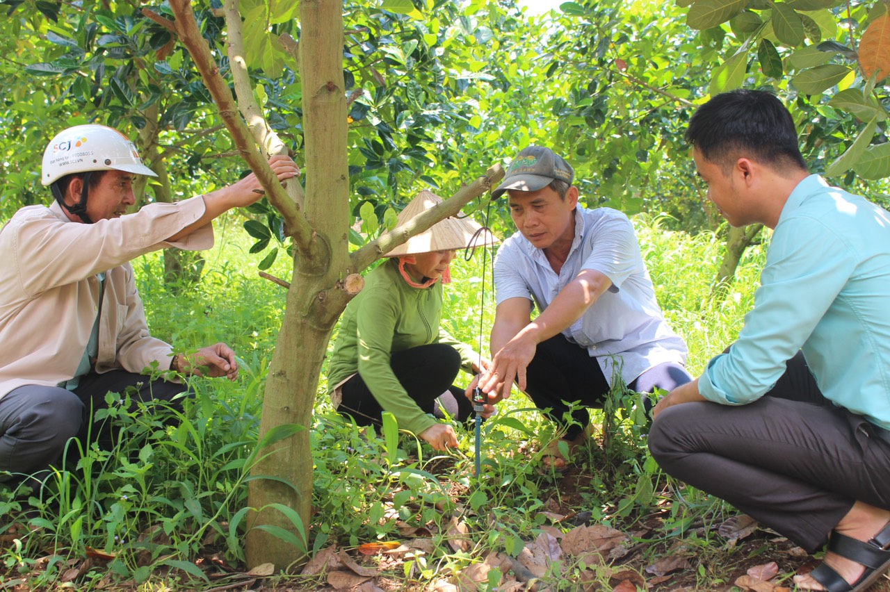 3.8-H2 Đảng bộ H.Định Quán nỗ lực về đích nông thôn mới.jpg