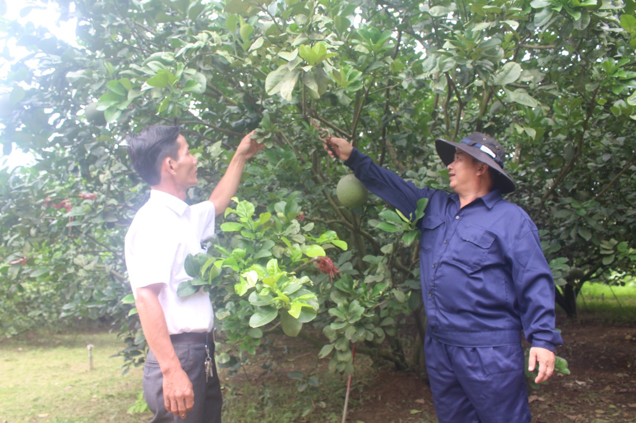 10.8 Đảng bộ huyện Vĩnh Cửu.jpg