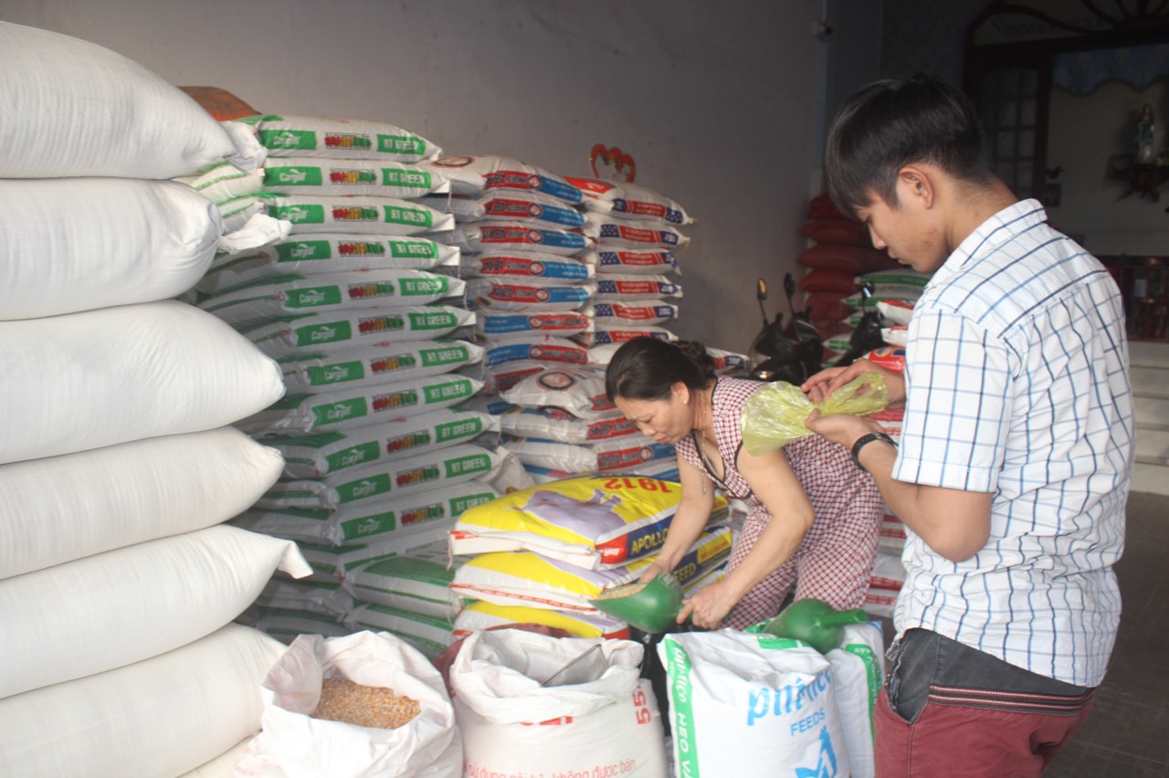 11.8-H1 ĐN có lợi thế cạnh tranh sx thức ăn chăn nuôi.jpg